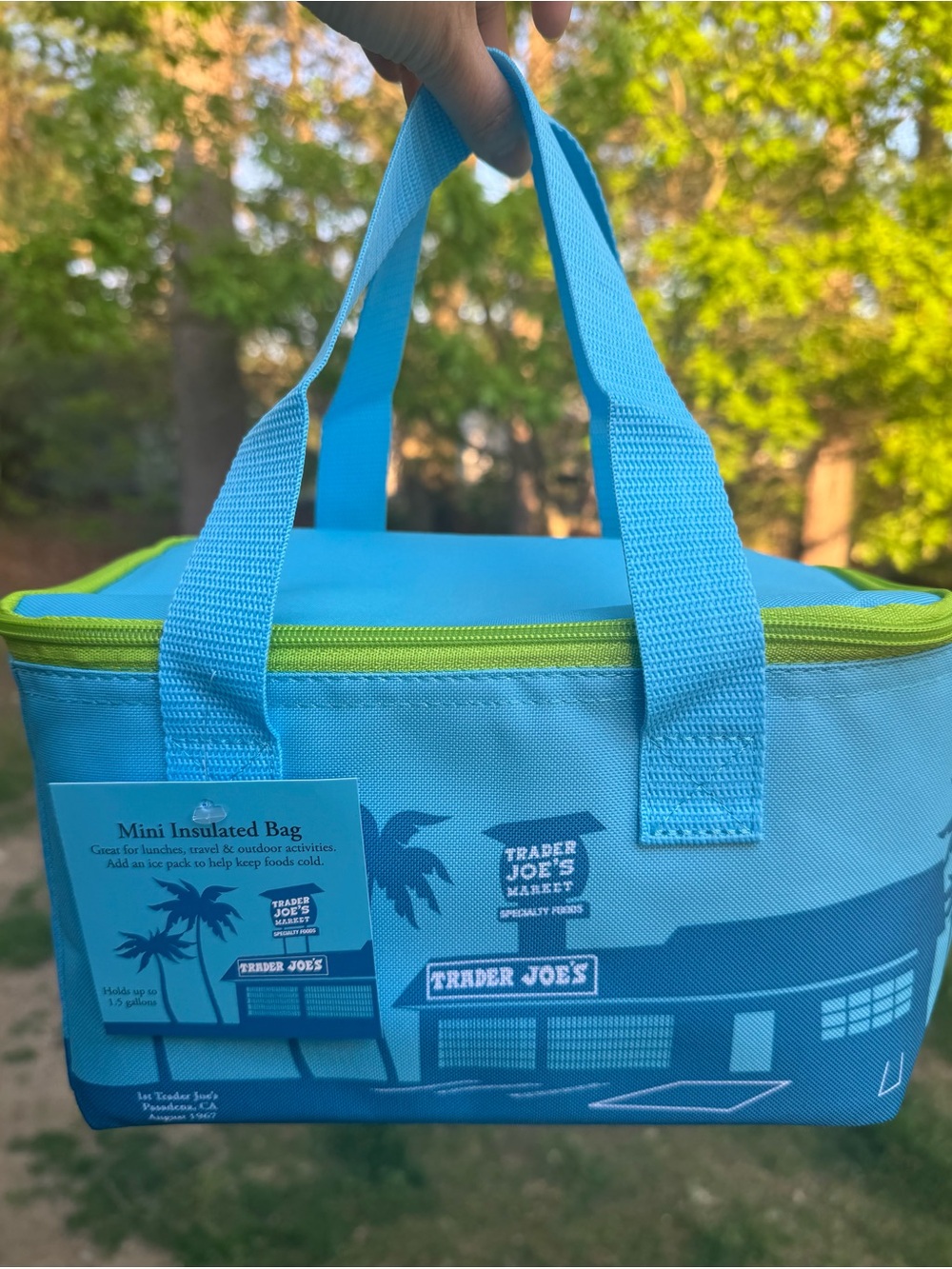 Trader Joe's Mini Insulated Tote in Aqua with Lime Zipper
